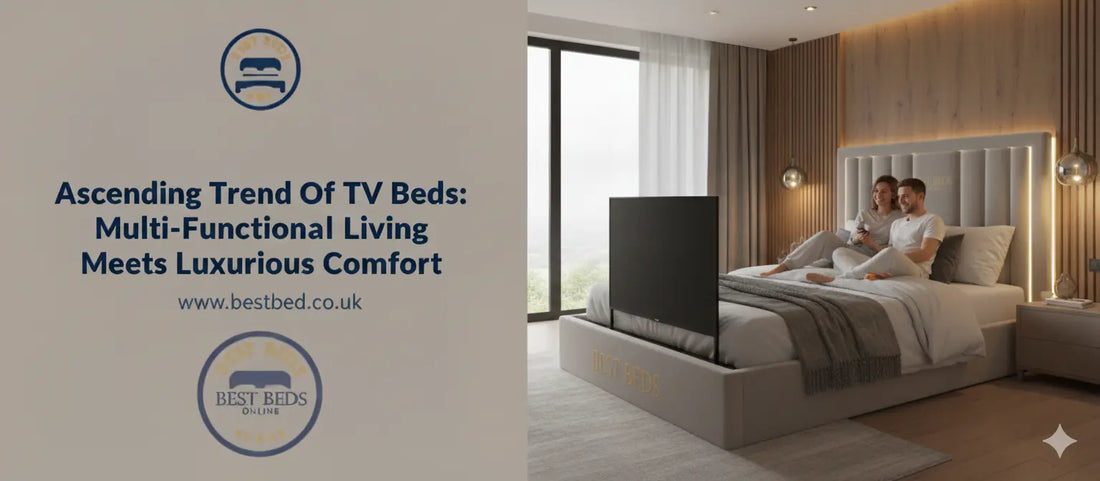 Ascending Trend Of TV Beds: Multi-Functional Living Meets Luxurious Comfort