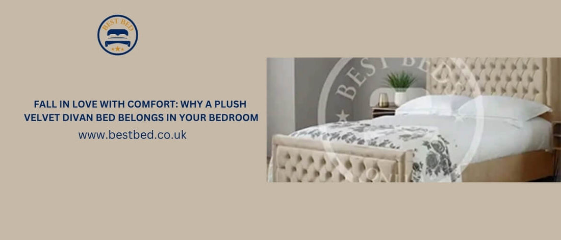 Fall in Love with Comfort: Why a Plush Velvet Divan Bed Belongs in Your Bedroom