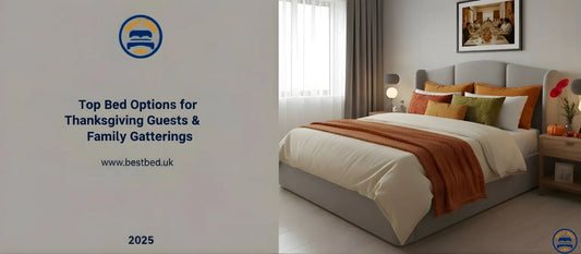 Top Bed Options for Thanksgiving Guests & Family Gatherings