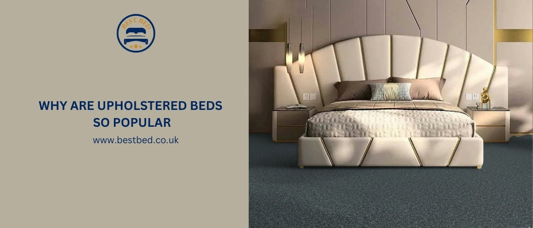 Why Are Upholstered Beds So Popular?